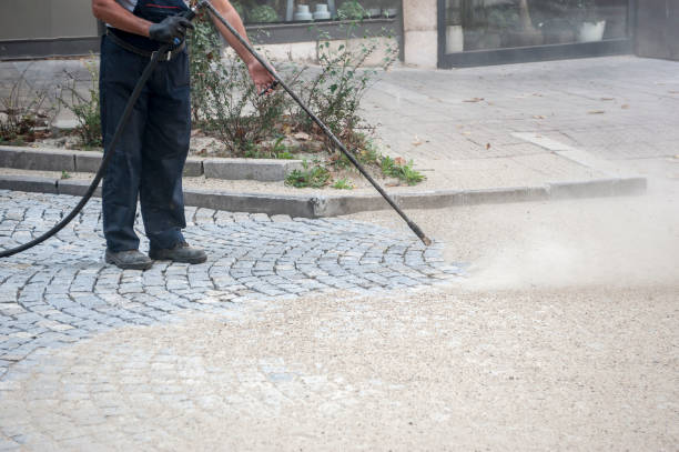 Best Driveway Pressure Washing  in Bonanza, GA